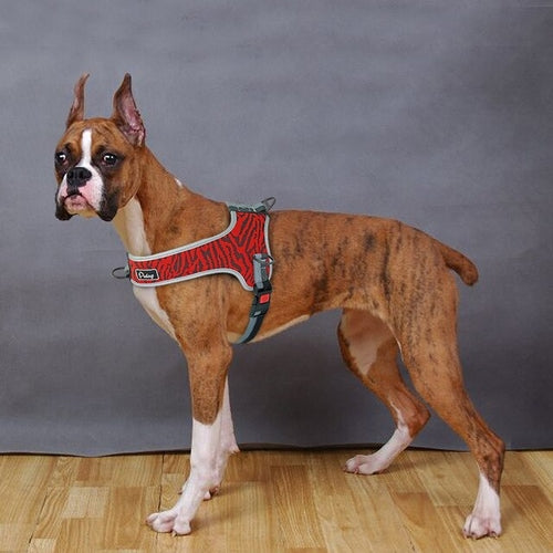 Mesh Nylon Dog Harness