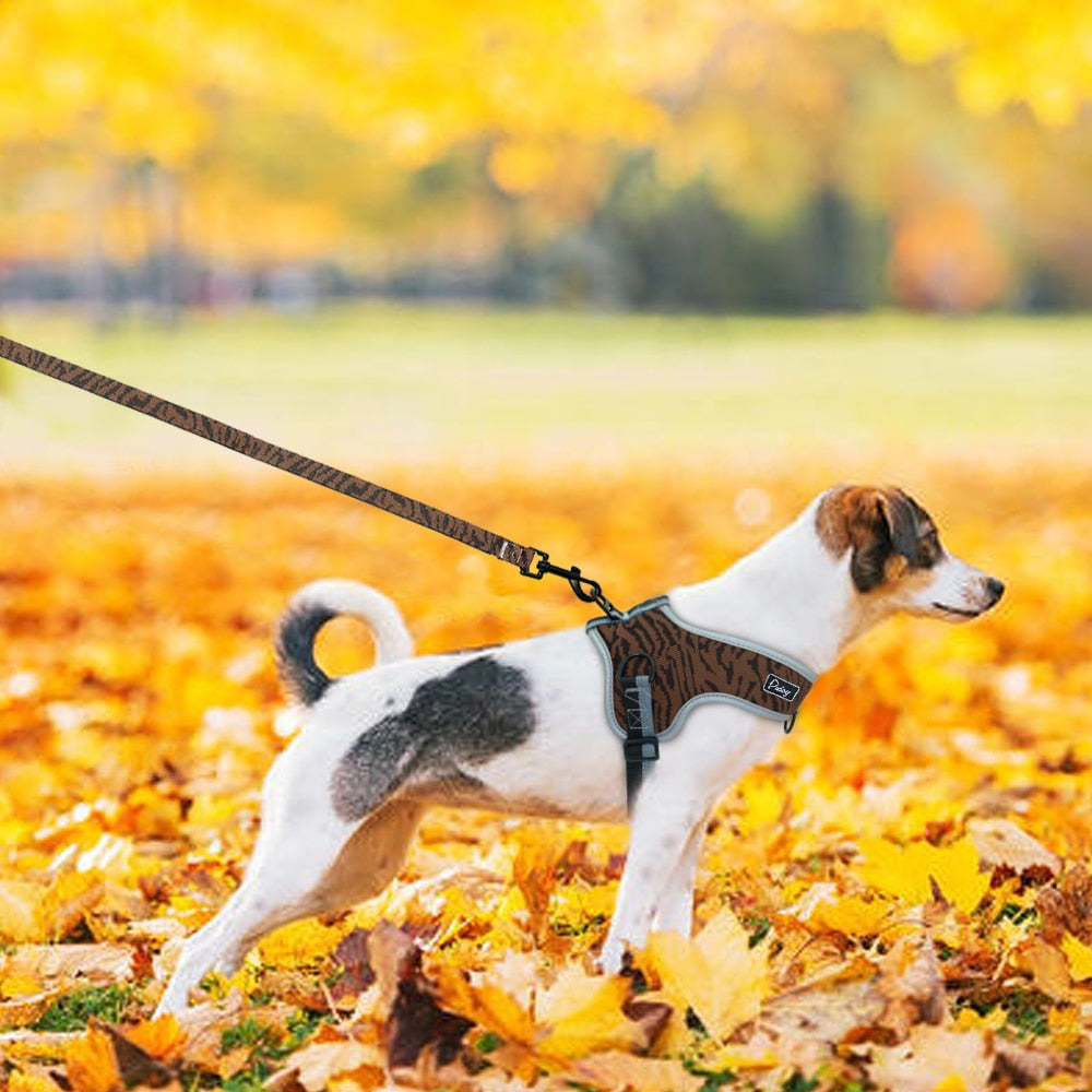 Mesh Nylon Dog Harness