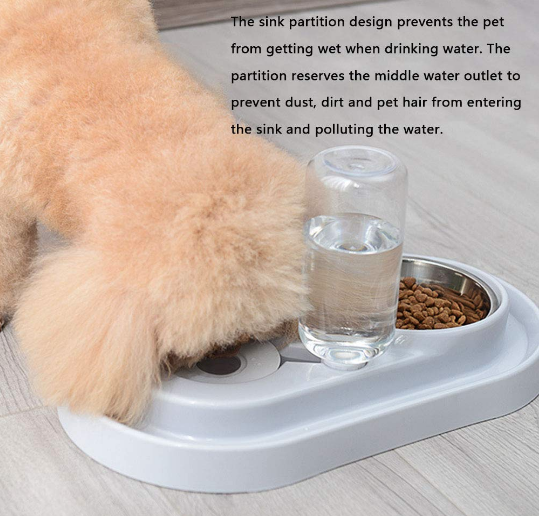 Automatic Pet Feeder