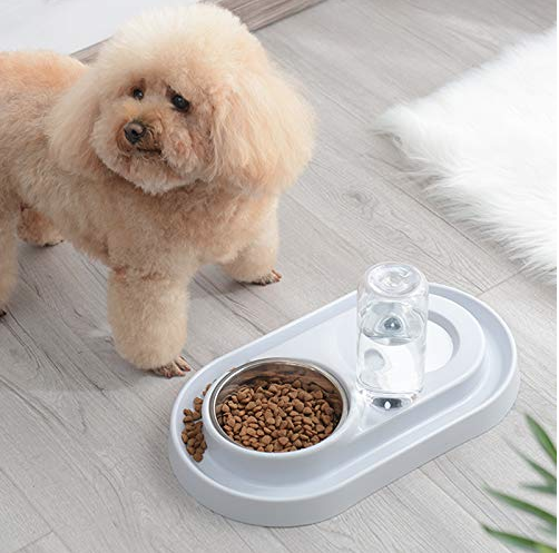 Automatic Pet Feeder