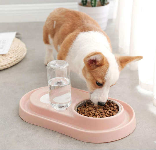 Automatic Pet Feeder