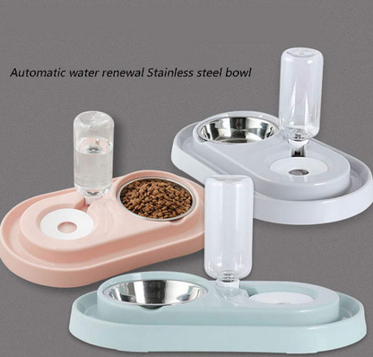 Automatic Pet Feeder