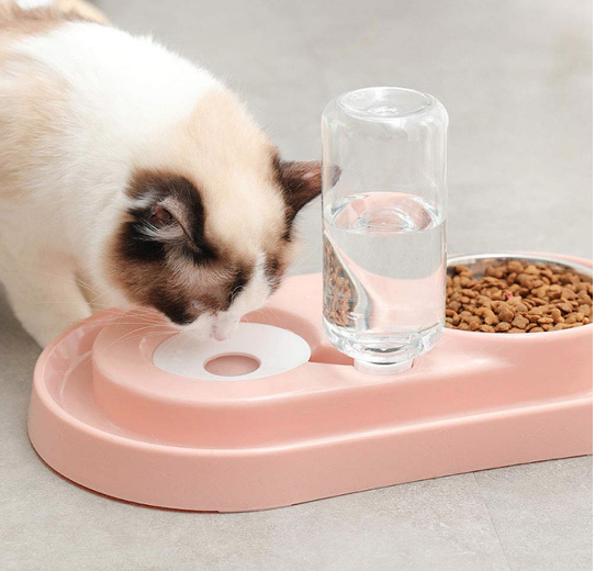 Automatic Pet Feeder