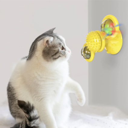 Cats Whirling LED Balls