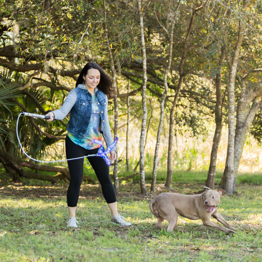 Squishy Dog Training Toy