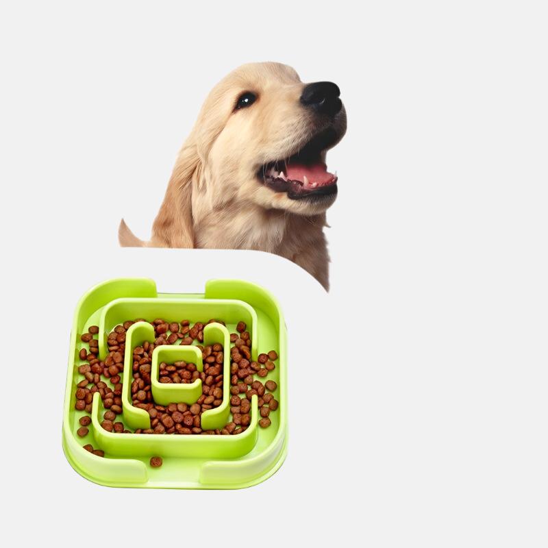 Pet Slow Feeder Bowl